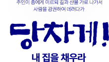 새 이미지